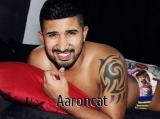 Aaroncat