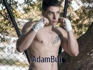 AdamBull