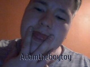 Adamtheboytoy