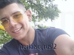Aerialscyrus12