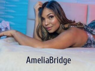 AmeliaBridge