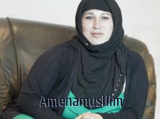 Amenamusllim