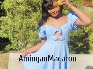 AminyanMacaron
