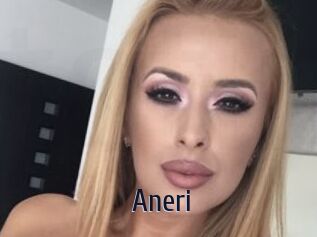 Aneri