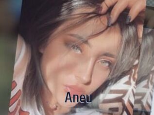 Aneu