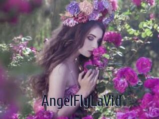 AngelFlyLaVid
