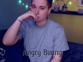 Angry_Bunny