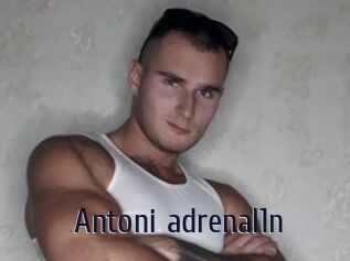 Antoni_adrenal1n