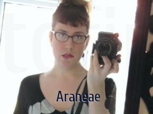 Araneae