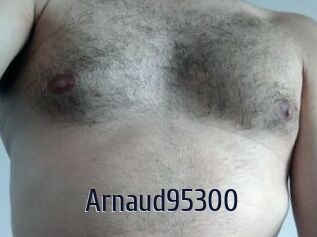 Arnaud95300
