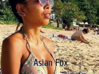 Asian_Fox