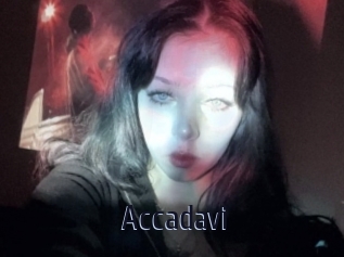 Accadavi