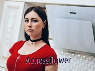 Agnessflower