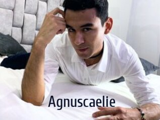 Agnuscaelie