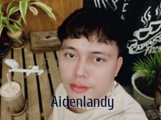 Aidenlandy