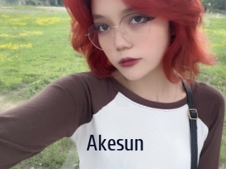 akesun Topp Finder