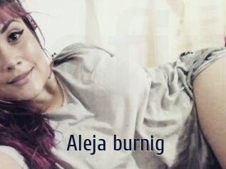 Aleja_burnig