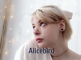 Alicebird