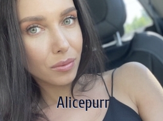 Alicepurr