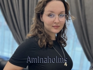 Aminaholms