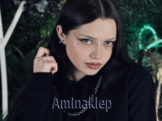 Aminaklep