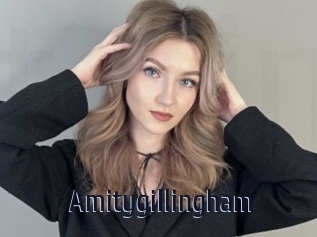 Amitygillingham