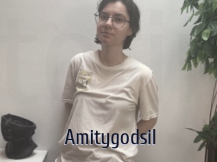 Amitygodsil