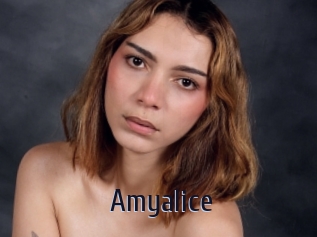 amyalice Topp Finder