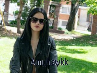 Amyhawkk