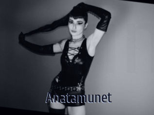 anatamunet Topp Finder