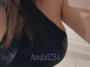 Anda1234