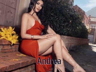 andrea Topp Finder