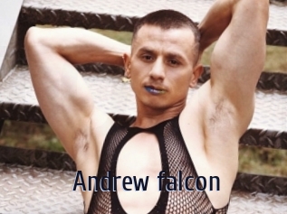 Andrew_falcon