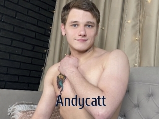 Andycatt