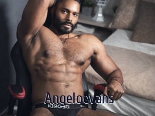 Angeloevans