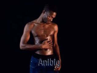 Anibig
