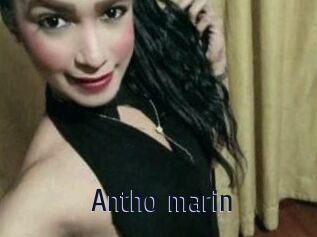 Antho_marin