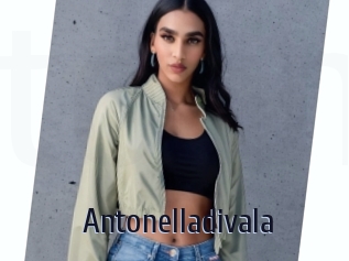 Antonelladivala