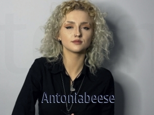 Antoniabeese