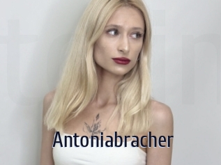 Antoniabracher