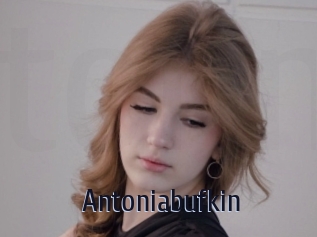 Antoniabufkin