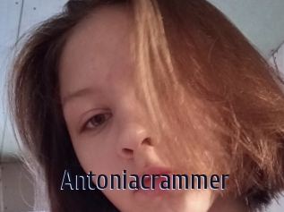 Antoniacrammer