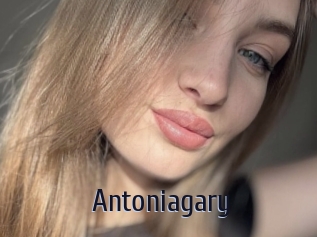 antoniagary Topp Finder