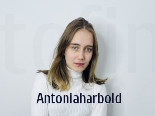 Antoniaharbold