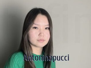 Antoninapucci