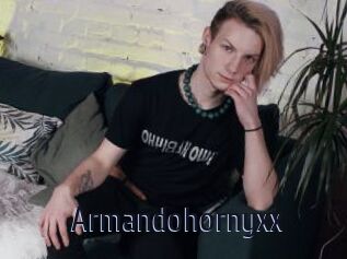 Armandohornyxx