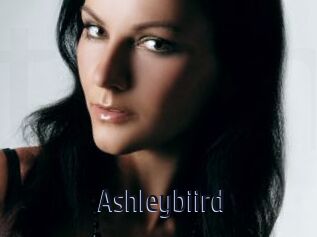 Ashleybiird