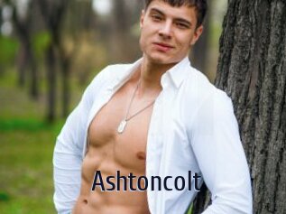 Ashtoncolt