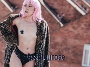 Asshleyrose