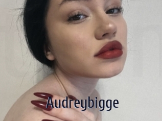 Audreybigge